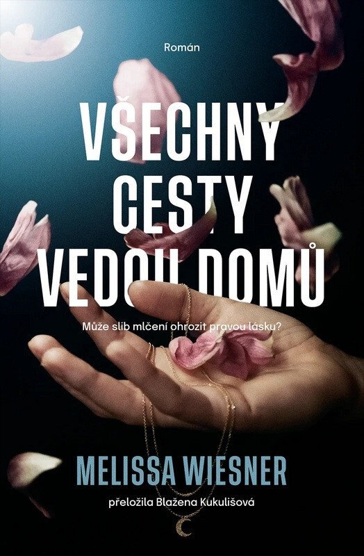 Obálka knihy Všechny cesty vedou domů