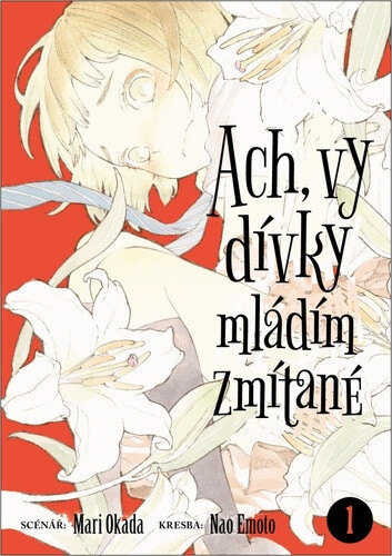 Obálka knihy Ach, vy dívky mládím zmítané