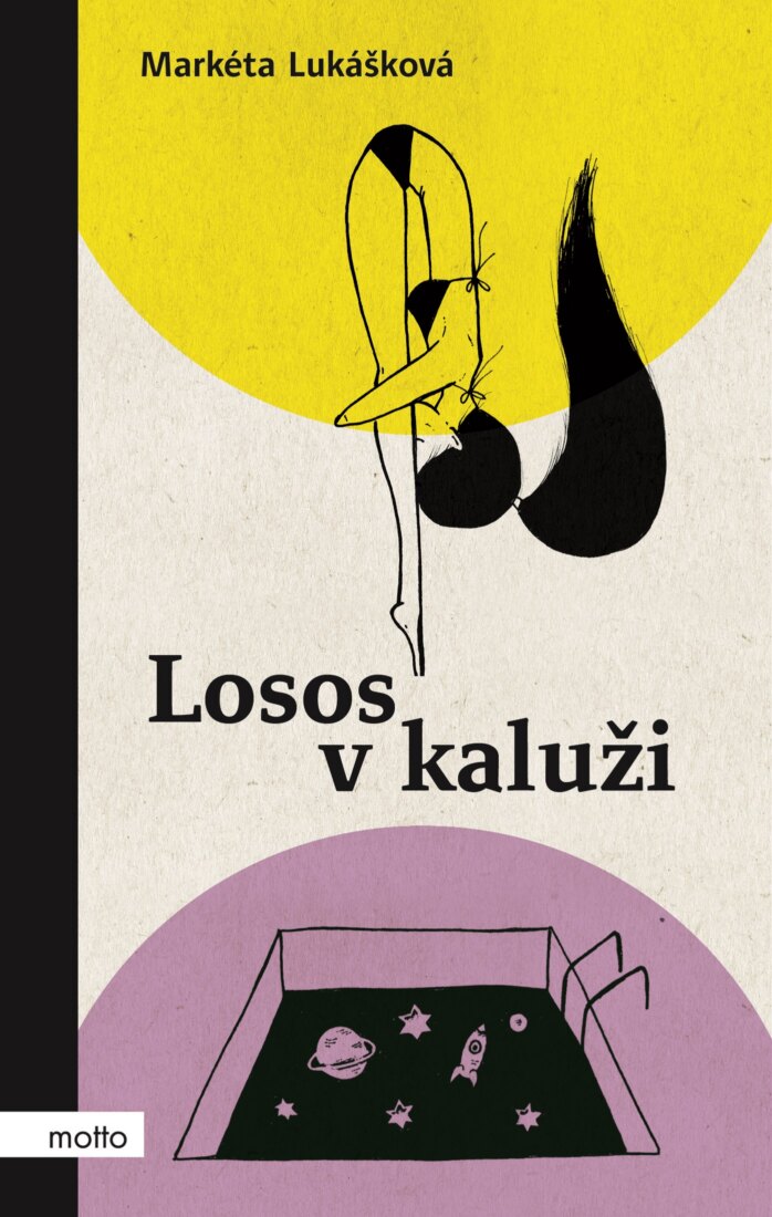 Obálka knihy Losos v kaluži