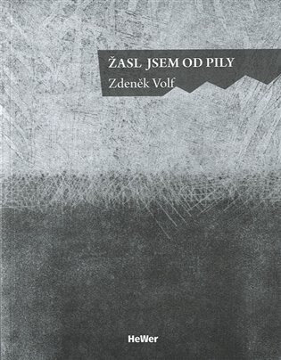 Obálka knihy Žasl jsem od pily