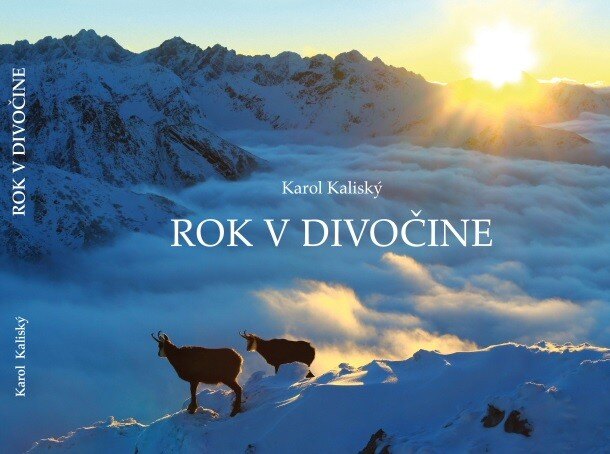 Obálka knihy Rok v divočine