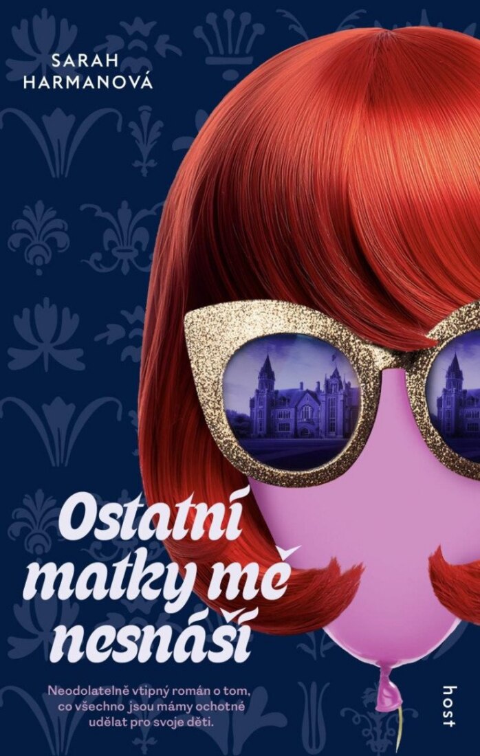 Obálka knihy Ostatní matky mě nesnáší