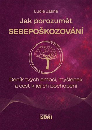 Obálka knihy Jak porozumět sebepoškozování
