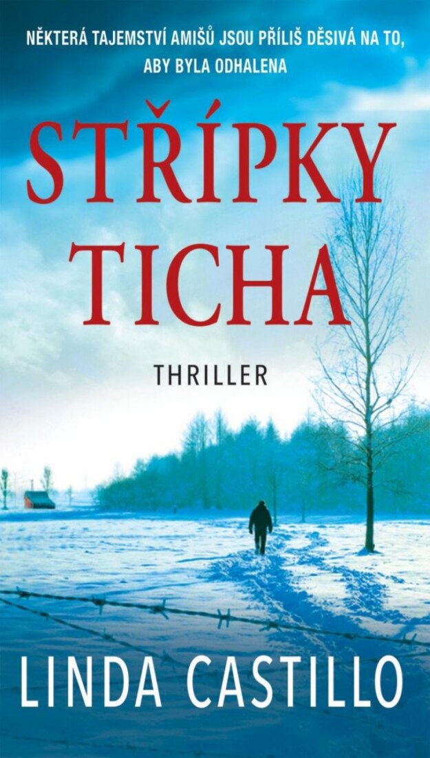 Obálka knihy Střípky ticha