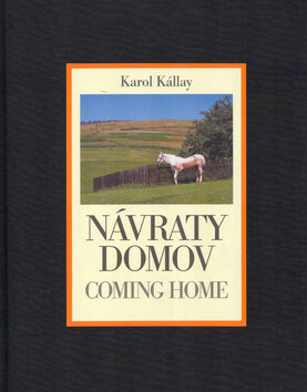Obálka knihy Návraty domov