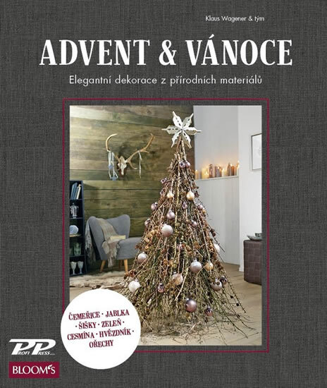 Obálka knihy Advent a Vánoce - Elegantní dekorace z přírodních materiálů