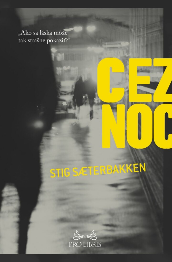 Obálka knihy Cez noc