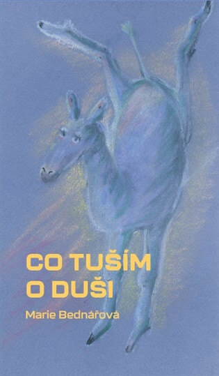 Obálka knihy Co tuším o duši