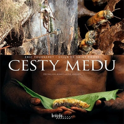 Obálka knihy Cesty medu
