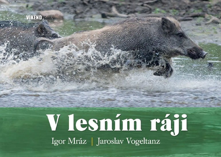 Obálka knihy V lesním ráji