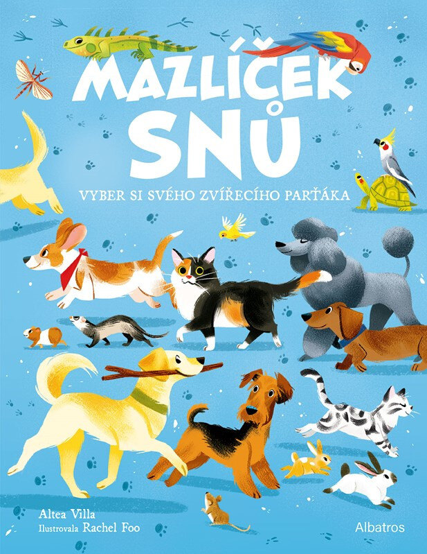 Obálka knihy Mazlíček snů