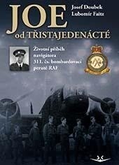Obálka knihy JOE od třistajedenácté
