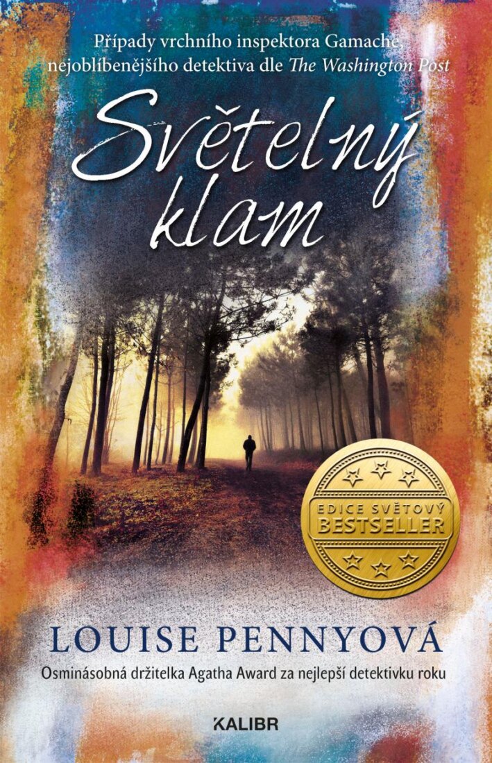Obálka knihy Světelný klam