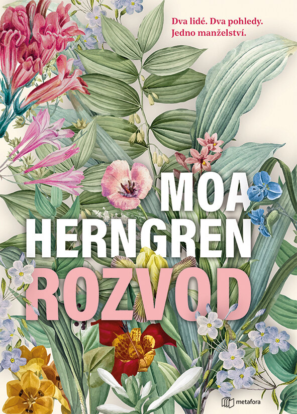 Obálka knihy Rozvod