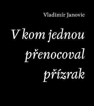 Obálka knihy V kom jednou přenocoval přízrak