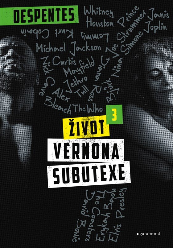 Obálka knihy Život Vernona Subutexe 3