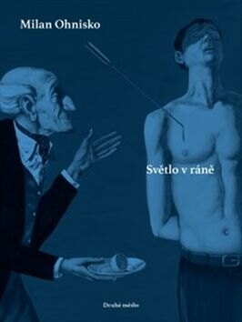 Obálka knihy Světlo v ráně