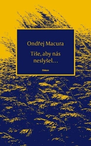 Obálka knihy Tiše, aby nás neslyšel…