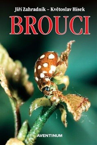 Obálka knihy Brouci