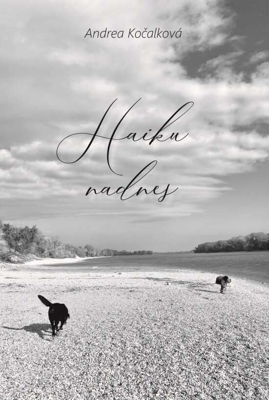 Obálka knihy Haiku nadnes