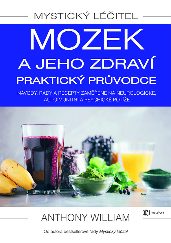 Obálka knihy Mystický léčitel: Mozek a jeho zdraví praktický průvodce