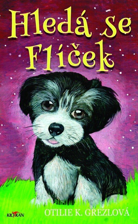 Obálka knihy Hledá se Flíček