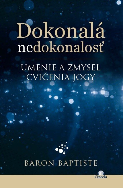 Obálka knihy Dokonalá nedokonalosť