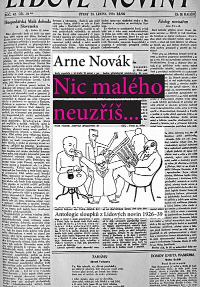 Obálka knihy Nic malého neuzříš...