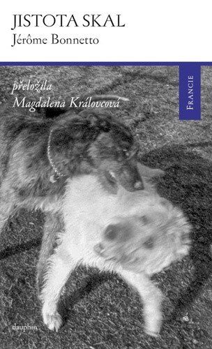 Obálka knihy Jistota skal