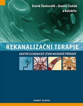 Obálka knihy Rekanalizační terapie