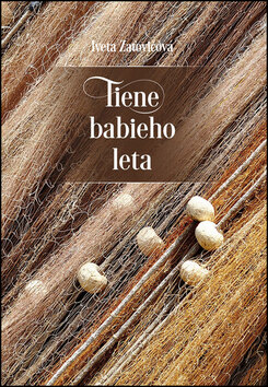 Obálka knihy Tiene babieho leta