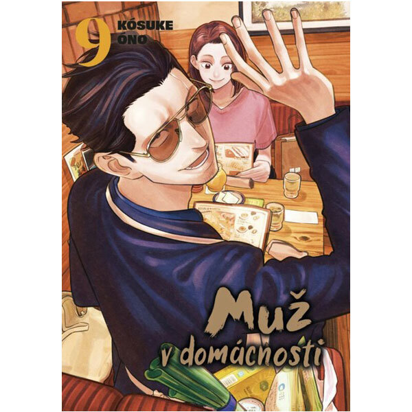 Obálka knihy Muž v domácnosti 9