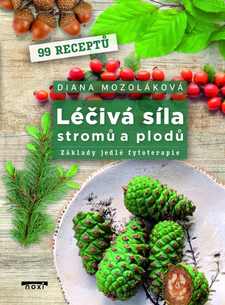 Obálka knihy Léčivá síla stromů a plodů - Základy jedlé fytoterapie
