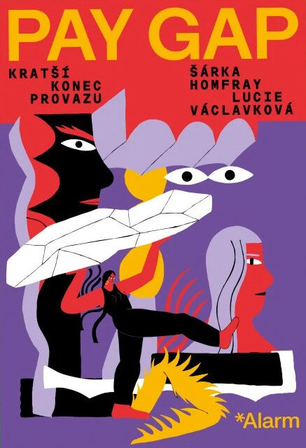 Obálka knihy Pay Gap