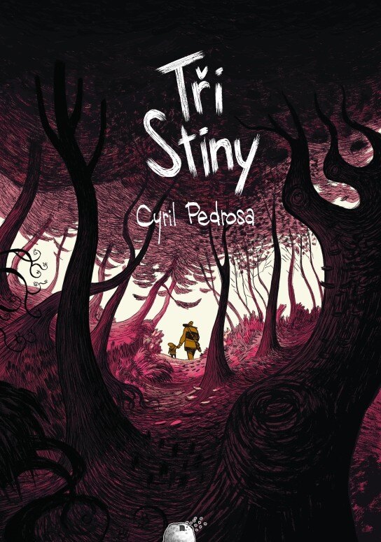Obálka knihy Tři stíny