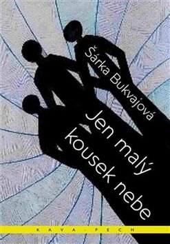 Obálka knihy Jen malý kousek nebe