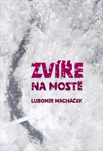 Obálka knihy Zvíře na mostě