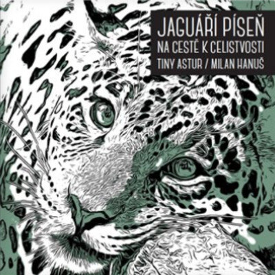 Obálka knihy Jaguáří píseň. Na cestě k celistvosti