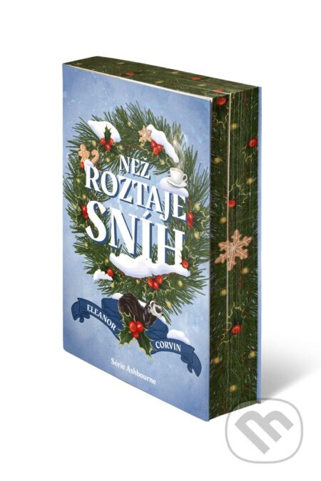 Obálka knihy Než roztaje sníh