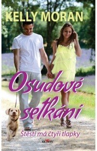 Obálka knihy Osudové setkání
