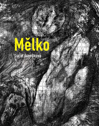 Obálka knihy Mělko