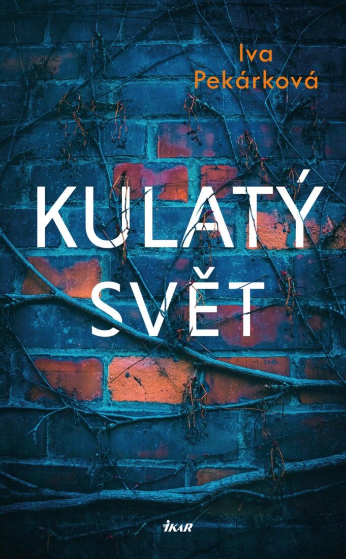Obálka knihy Kulatý svět