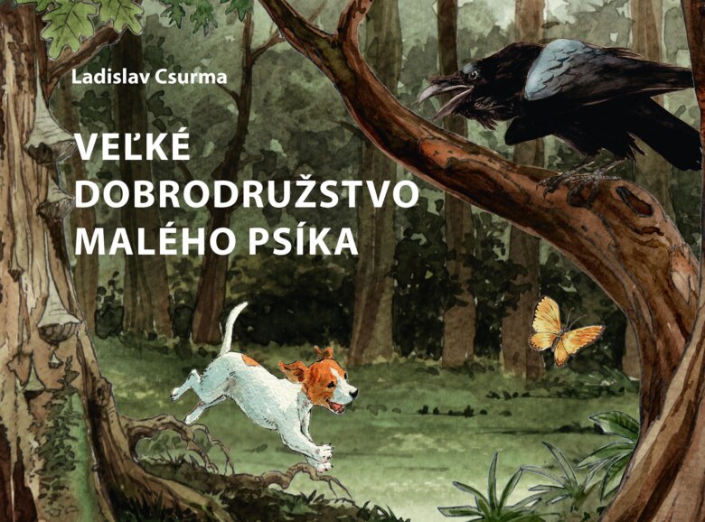 Obálka knihy Veľké dobrodružstvo malého psíka