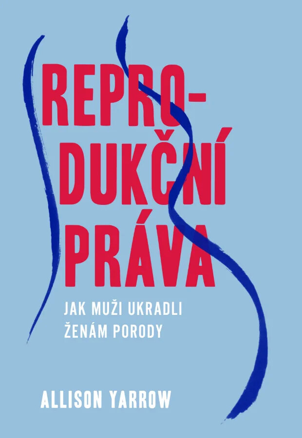 Obálka knihy Reprodukční práva - Jak muži zneužívají mateřství, aby nás ovládali