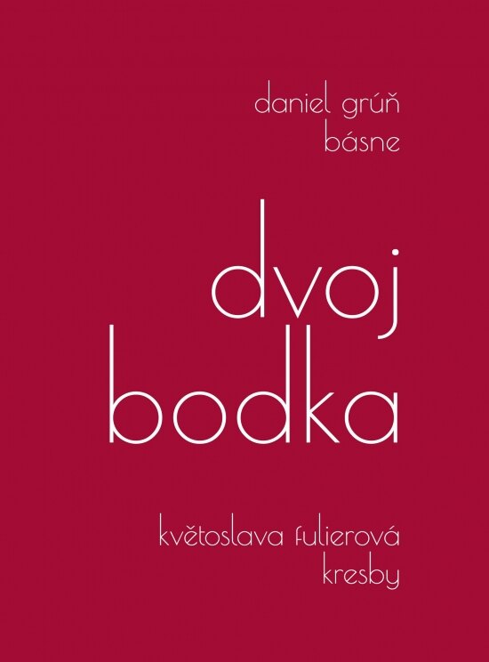 Obálka knihy dvojbodka