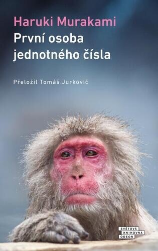 Obálka knihy První osoba jednotného čísla