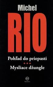 Obálka knihy Pohľad do priepasti