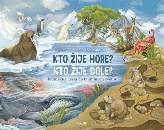 Obálka knihy Kto žije hore? Kto žije dole?