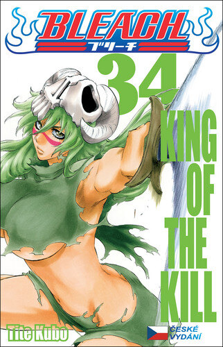Obálka knihy Bleach 34