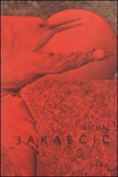 Obálka knihy Michal Jakabčic